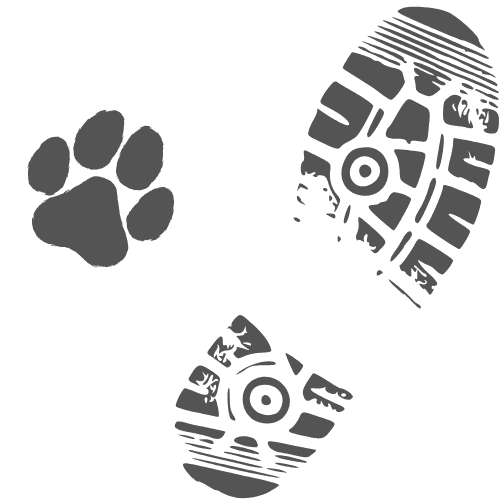 prints