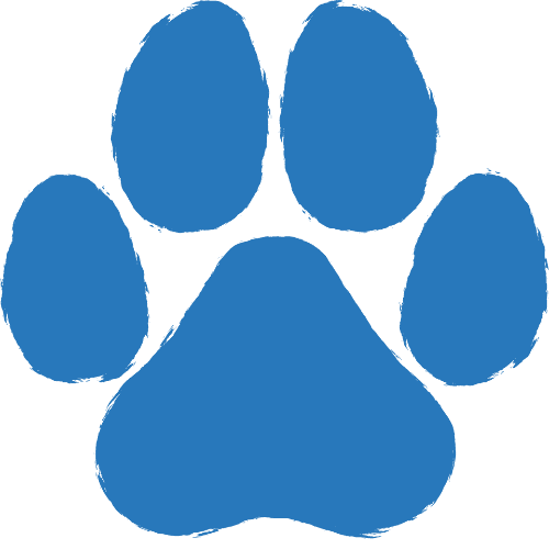 paw