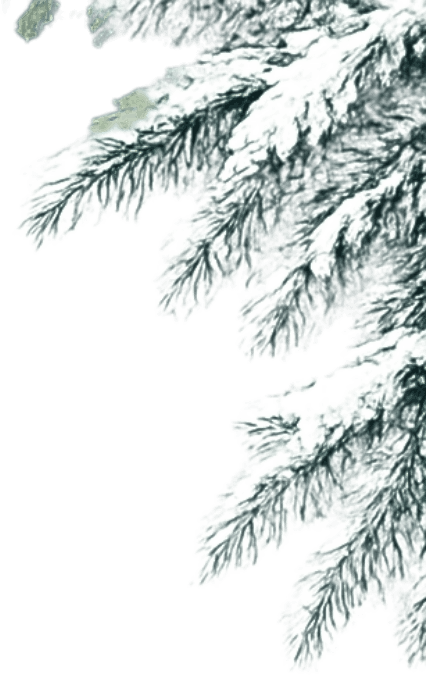 snowpine