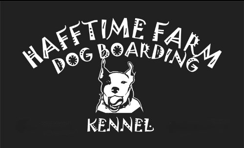 Hafftime Farm Dog Boarding Kennel